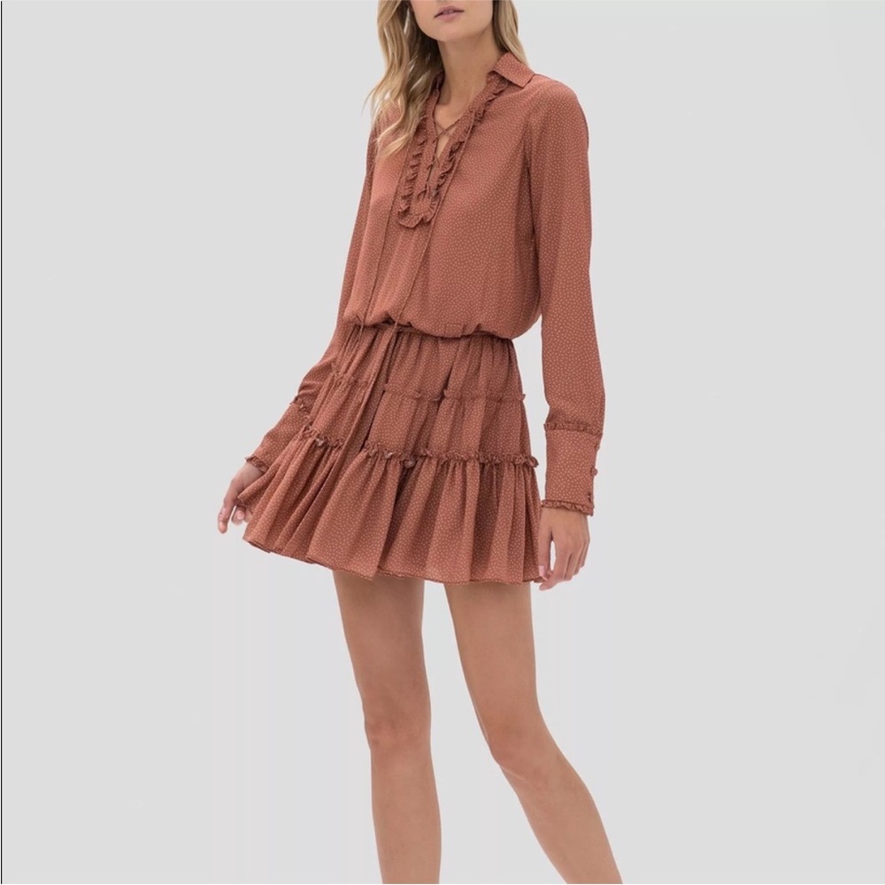 Alexis Rust Long Sleeve Dress